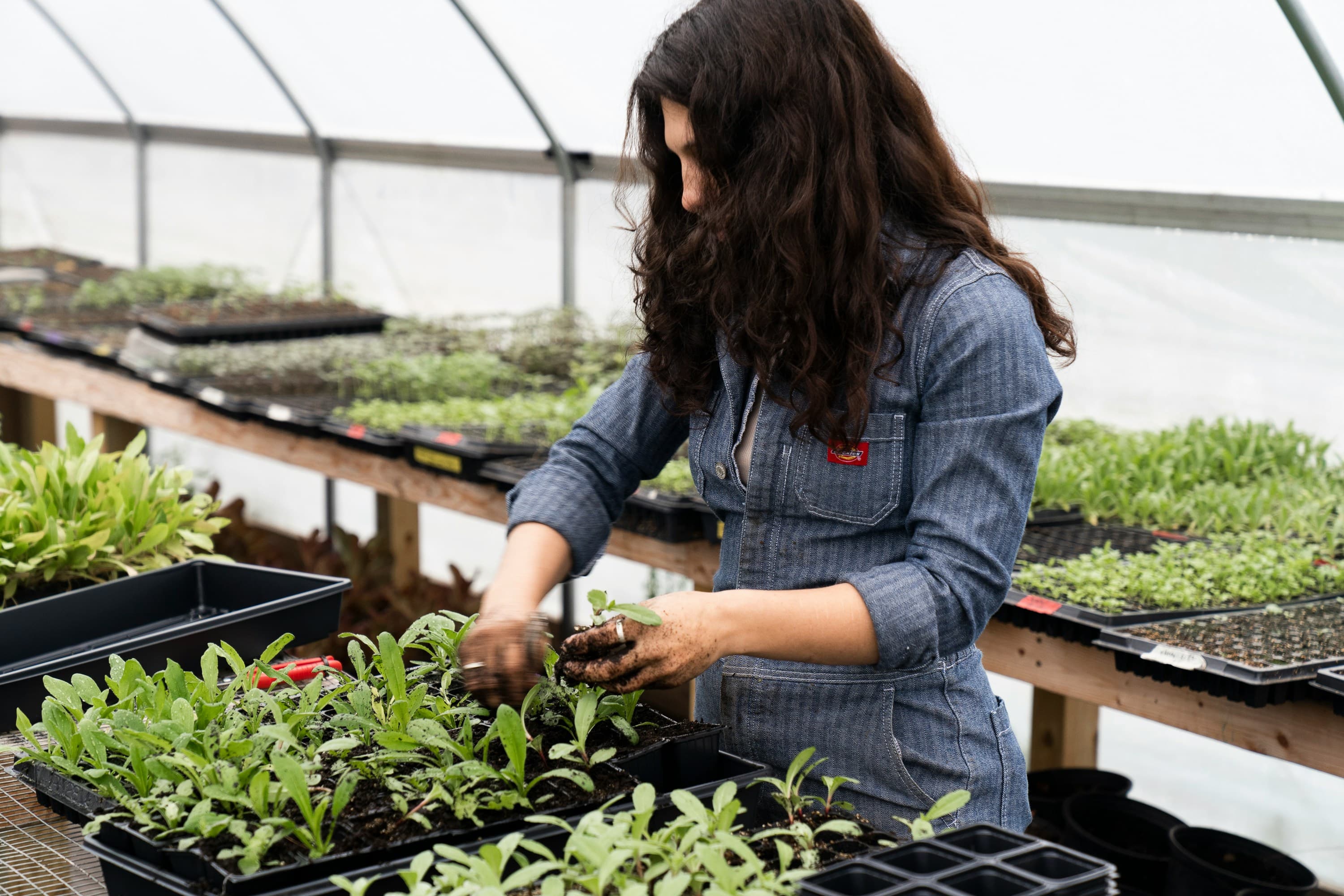 a woman working in a greenhouse
